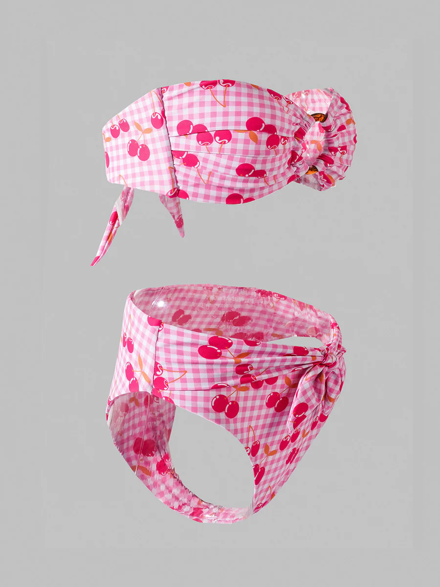 Pink Cherry Double layer High-Waisted Bikini Set - Image 7